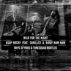A$AP ROCKY - Wild For The Night (Rhys Sfyrios & TuneSquad Bootleg)