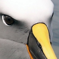 Namine Ritsu GIRL Side - A