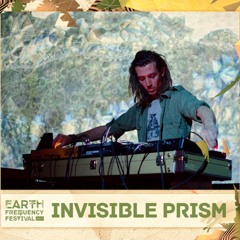 Circuit of Attention dub Live @ Earth Frequency Festival 2017