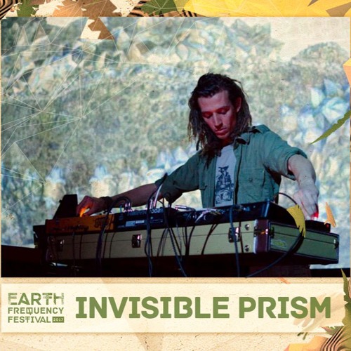 Circuit of Attention dub Live @ Earth Frequency Festival 2017