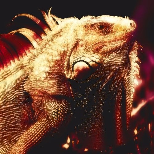 Victor Ruiz - Nevermind (Klassik Remix)