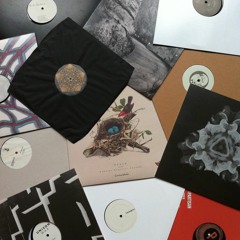 Vol. VIII