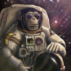 Space Monkey