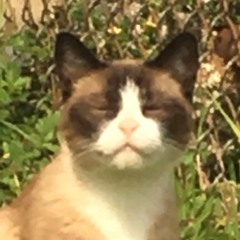 untitled- (dane, kane, and joe)