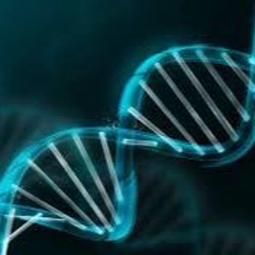 Johnny Shea- Like a Zombie