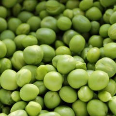 ærter nogen hjemme?