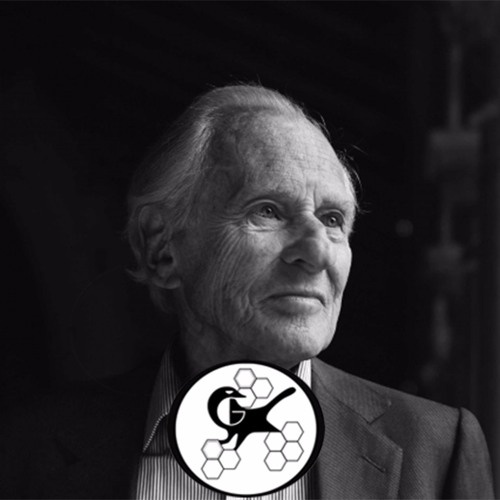 Jean d'Ormesson "L'Ecrivain"