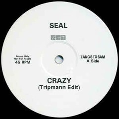 Seal - Crazy (Tripmann Edit)FREE DOWNLOAD 1411 Kbps HQ.