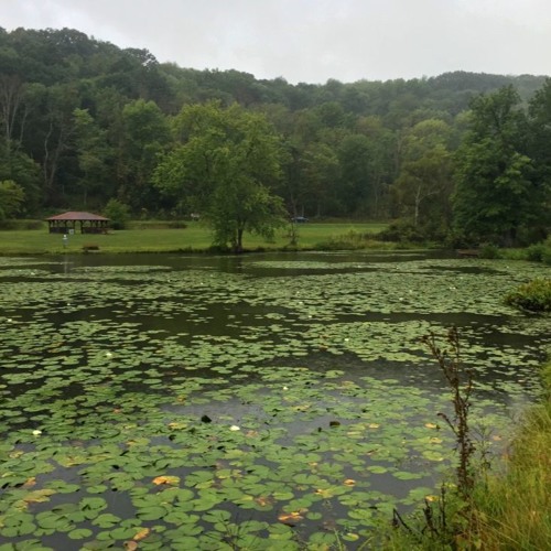 تلاوة خاشعة من سورة الاعراف محمد ايوب ( ولا تفسدوا في الارض بعد إصلاحها )