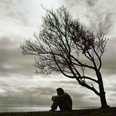 قصيدة داين تدان || أميرة حسنى