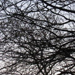 Send Hemp Your Location