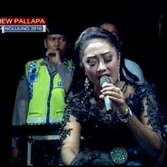Jangan Dendam Anisa Rahma New Palapa Wong Ngujung Bersatu Rembang 17 Oktober 2016
