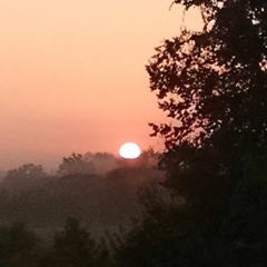 Crop Circles (Italy)