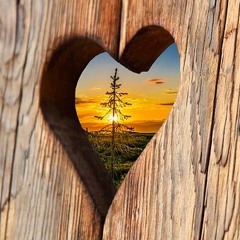 Ginger's HeartPrint Studio Sessions 2017