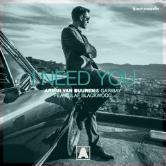 Armin Van Buuren Vs Andrew Rayel - I Need You Vs Epiphany (Snayder MashUp)[Preview]