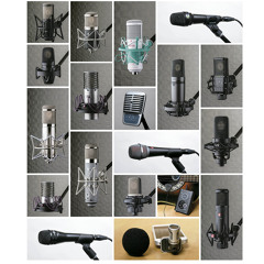 P.66 AKG C314 "Vocal"