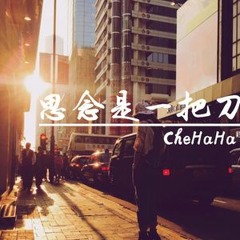 刘辰希_思念是一把刀(All Studio DjCupid.小秋 Edit)