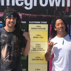 b&b - taniwha bassline remix