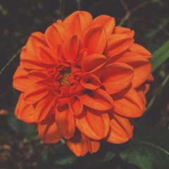 Sounds Like Love ft. Marques Berry /  Prod. J Dilla (Free DL) 2015