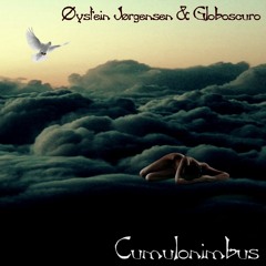 Øystein Jørgensen & Globoscuro - Arcus, Pannus, Pileus, Velum