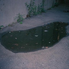 Yeom - 웅덩이에 풍덩