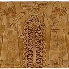 TMPBEATS - TREE OF LIFE [INSTRUMENTAL]