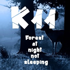 Forest At Night Not Sleeping