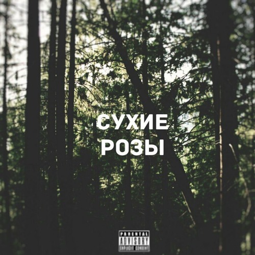 Сухие Розы