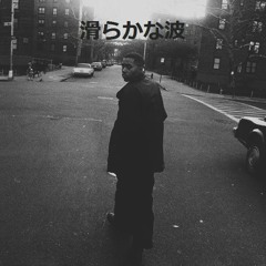 x.shulz x .rossness - smuth.wave