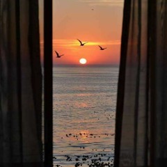 اصيل هميم الين اليوم