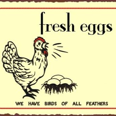 Chicken Scratches - March 5th, 2017