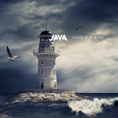 Love Is A Bird