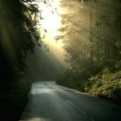 اسعاد يونس   ياللي تحب الفن صلاح جاهين و سيد مكاوي