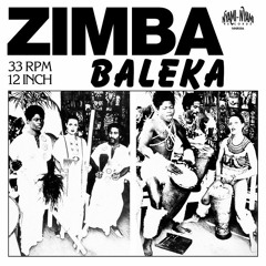 Premiere: Zimba - Baleka (The Comet Is Coming Remix)