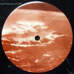 B2_Alien Abduction_vin_96k