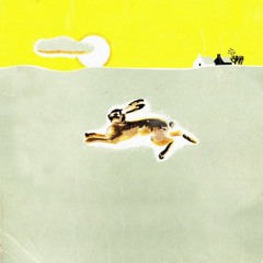 HARE CARE