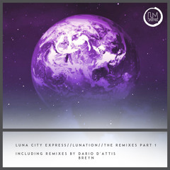 Luna City Express - Victims of the Funk (Dario D'Attis Dubby Dub)