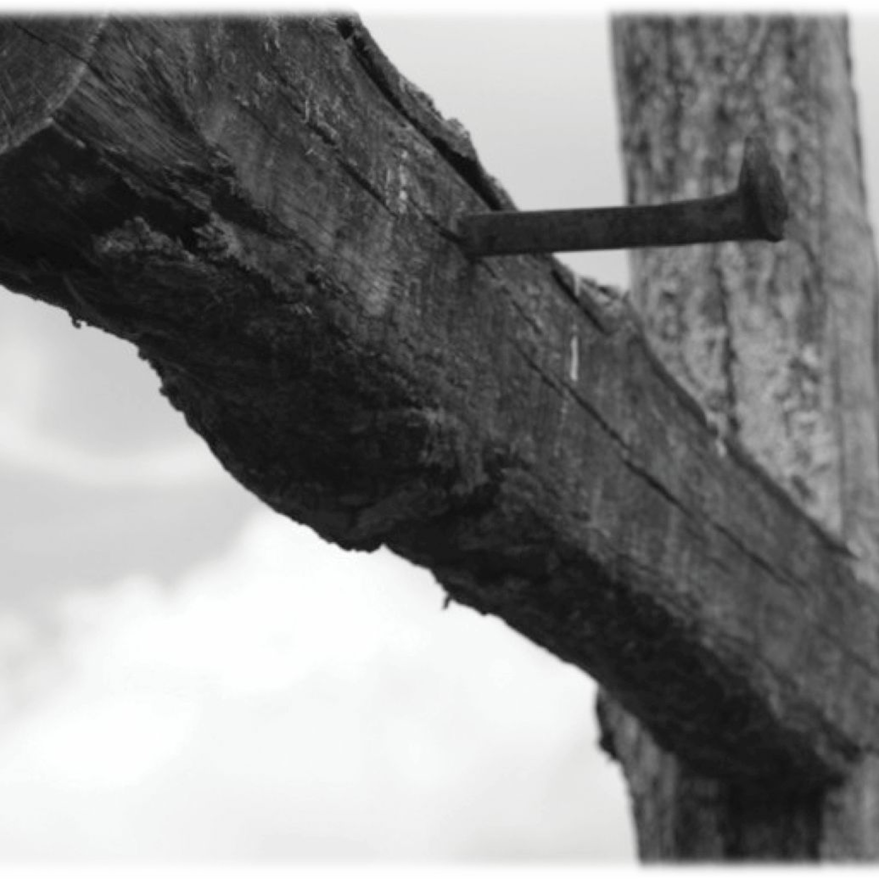 Isaiah 53 - He Was Pierced For Our Transgressions - 3-5-2017 - The Cross of Christ Lent 2017 episode artwork