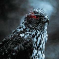 Hip Hop Beats Instrumental - Black Bird (Hard Melodic Trap Beat) Buy Now $24.95 - Free Download