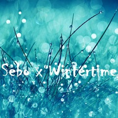 Sebo X Wintertime Type Beat