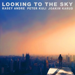 Looking To The Sky w/ Peter Kuli & Joakim Karud