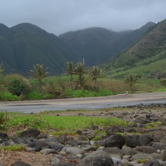 Molokaʻi on my Mind