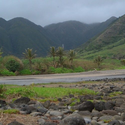 Molokaʻi on my Mind