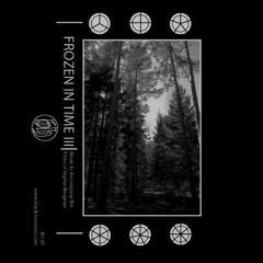 The Magician - Fear and Well-being // Part 1 Queue: 5m15s - 12m18s