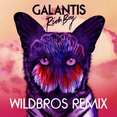 Galantis - Rich Boy (WildBros Remix)