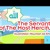 Artwork for The Servants of The Most Merciful _ Nouman Ali Khan _ illustrated