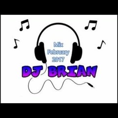 DJ BRIAN Mix February 2017 | Best Songs & Remixes