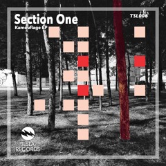 Section One - The Monkey (Original Mix)SC Cut - OUT NOW