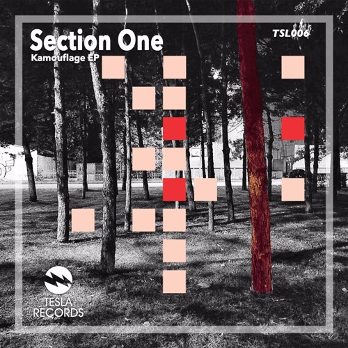 Section One - The Monkey (Original Mix)SC Cut - OUT NOW