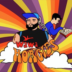 Aaron Out - Wawa Hoagies (prod. irCasim) [music video in description]